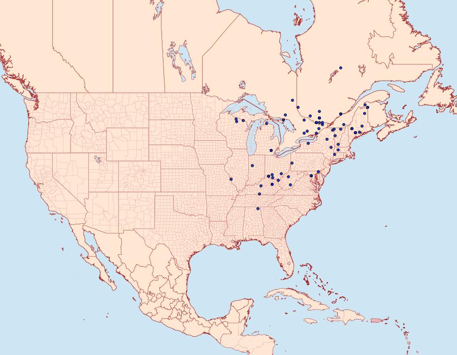 Distribution Data for Cliniodes ostreonalis