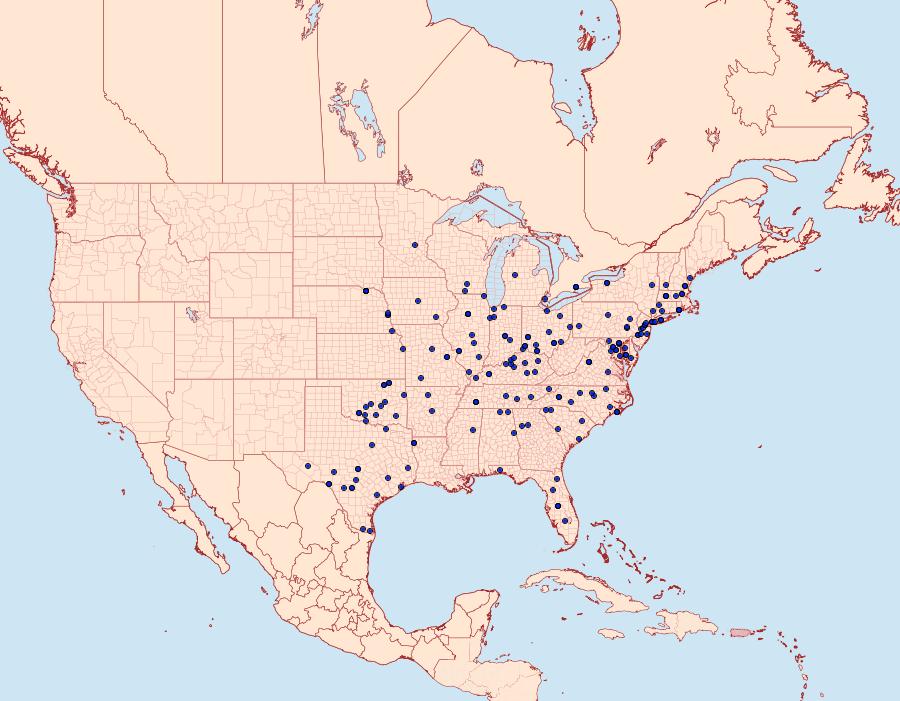 Distribution Data for Eustixia pupula