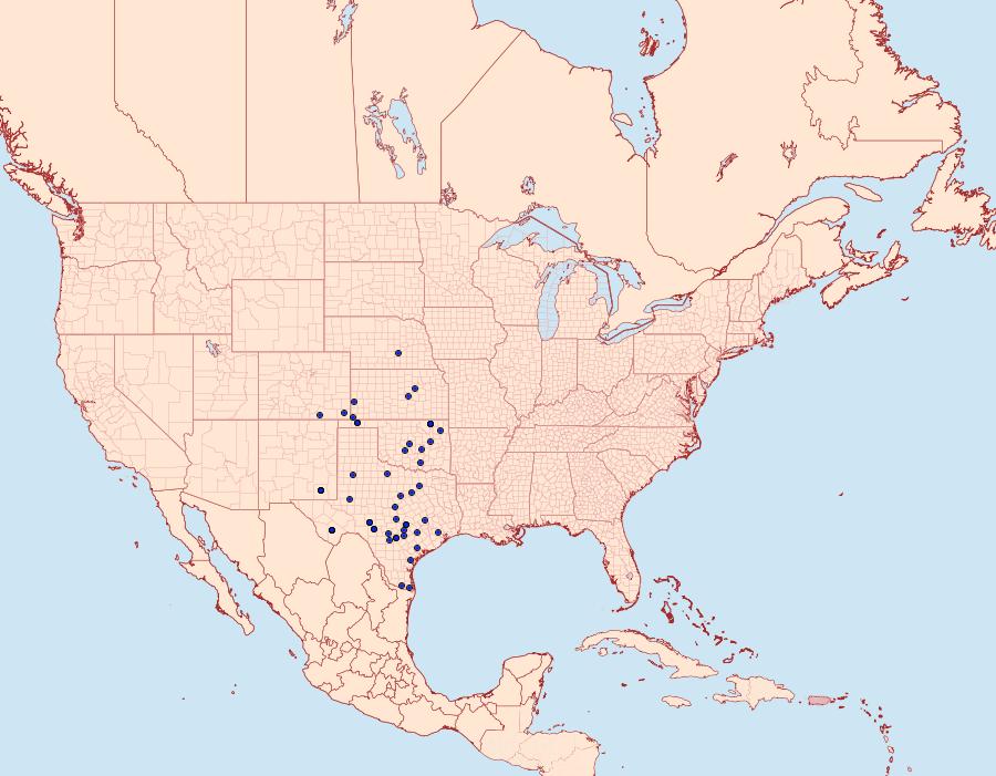 Distribution Data for Microtheoris vibicalis