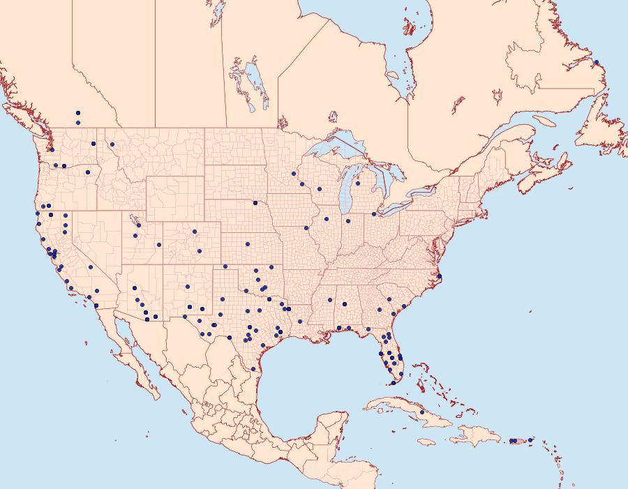 Distribution Data for Microtheoris ophionalis