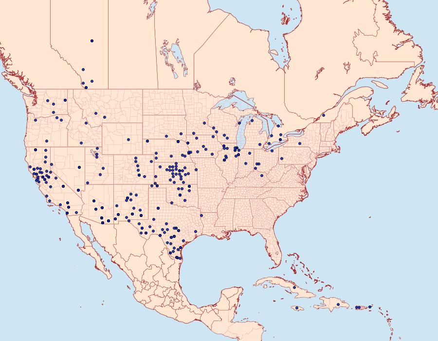 Distribution Data for Mimoschinia rufofascialis