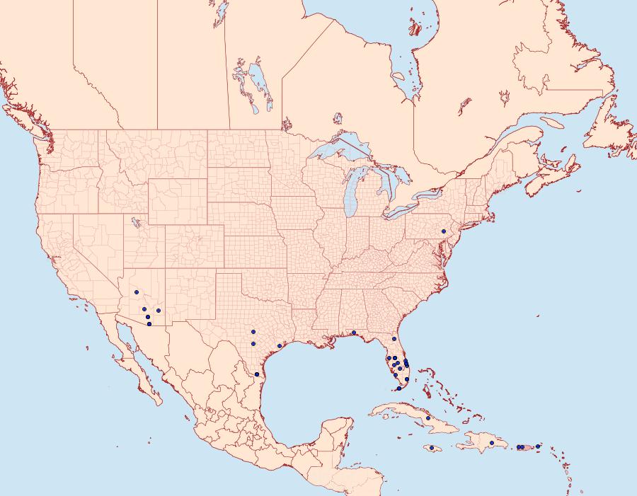 Distribution Data for Hellula phidilealis