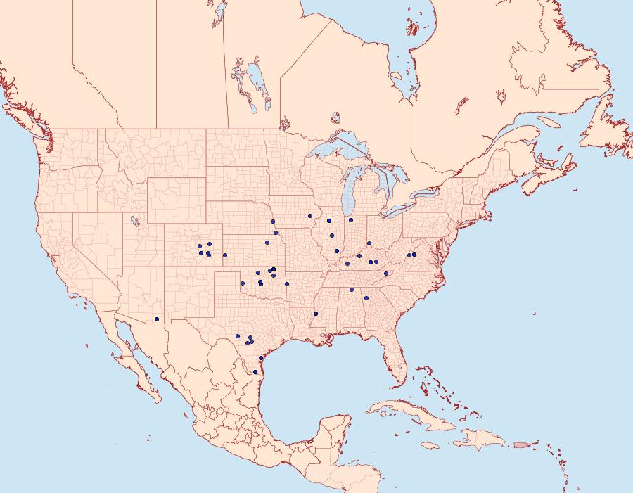 Distribution Data for Nephrogramma reniculalis