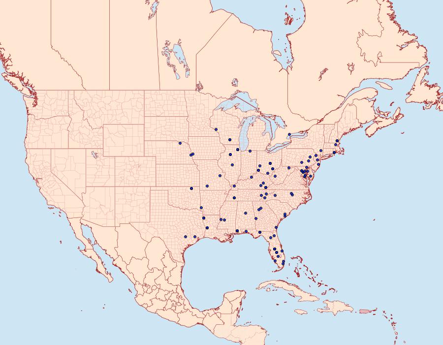 Distribution Data for Glaphyria glaphyralis