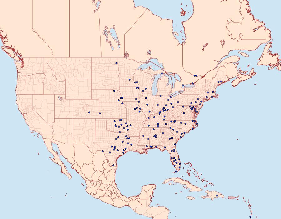 Distribution Data for Glaphyria sesquistrialis