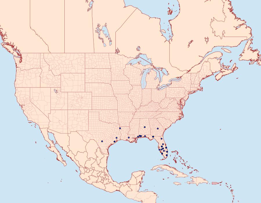 Distribution Data for Glaphyria basiflavalis