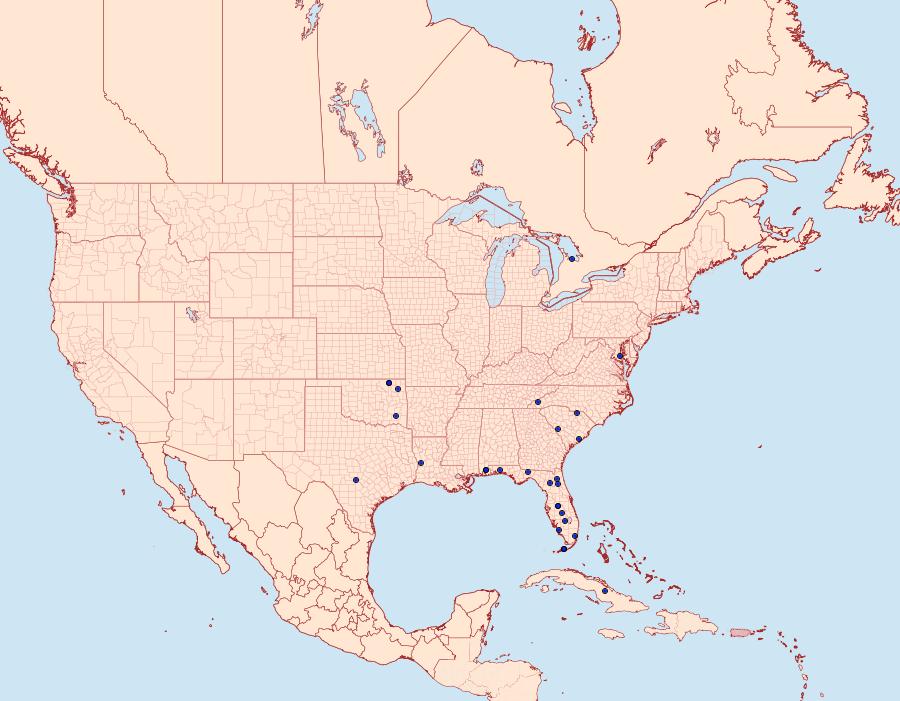 Distribution Data for Glaphyria cappsi