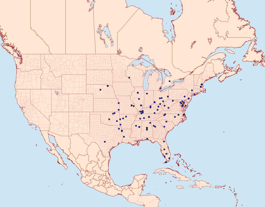 Distribution Data for Lipocosma sicalis