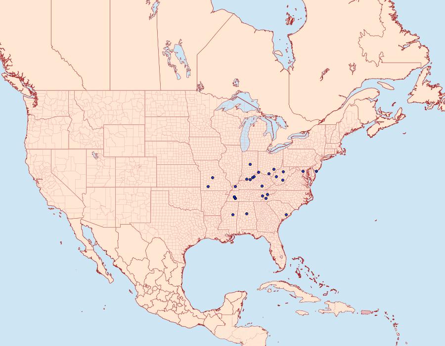 Distribution Data for Lipocosma adelalis