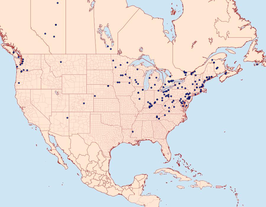 Distribution Data for Evergestis pallidata