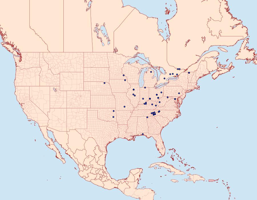 Distribution Data for Evergestis unimacula