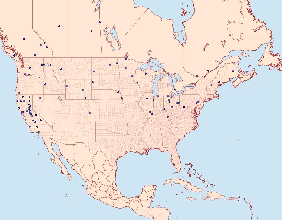 Distribution Data for Saucrobotys fumoferalis