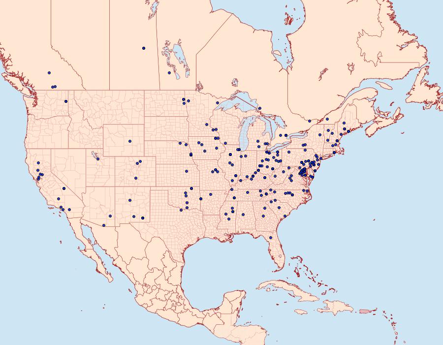 Distribution Data for Saucrobotys futilalis