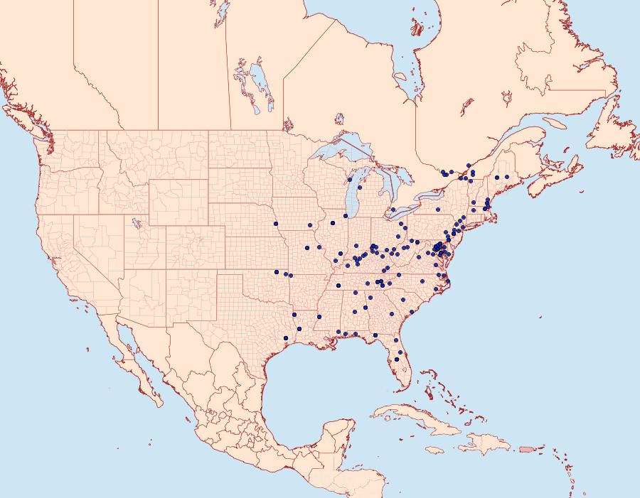 Distribution Data for Crocidophora tuberculalis