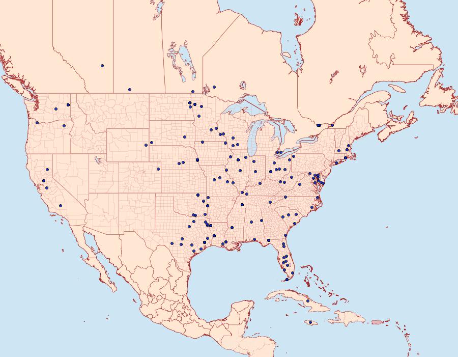 Distribution Data for Ostrinia penitalis