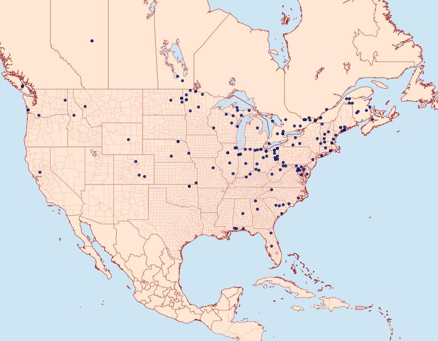 Distribution Data for Fumibotys fumalis