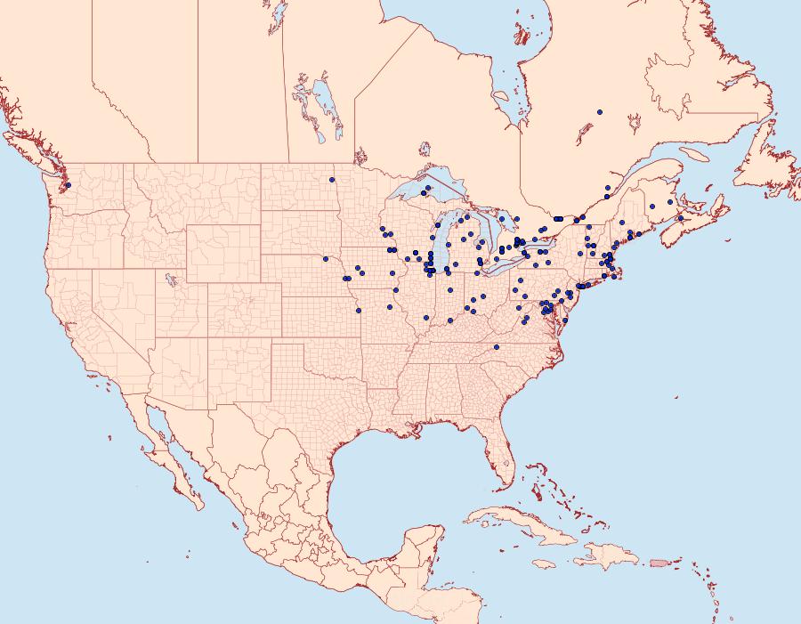 Distribution Data for Sitochroa palealis