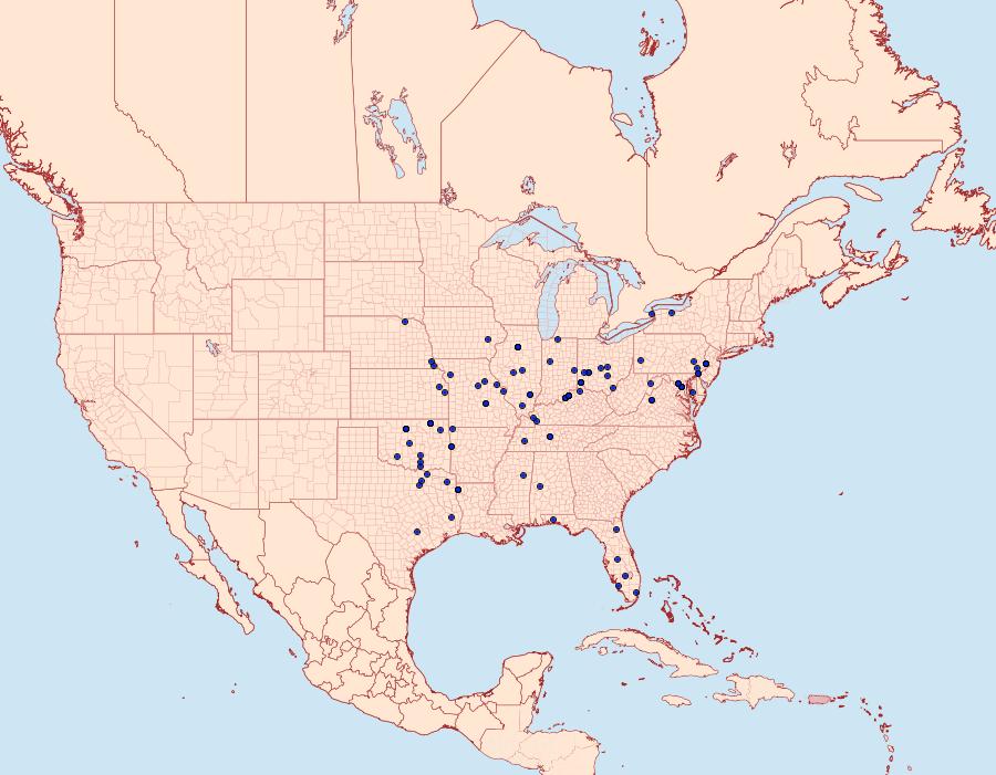 Distribution Data for Sericoplaga externalis