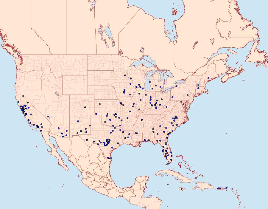 Distribution Data for Uresiphita reversalis