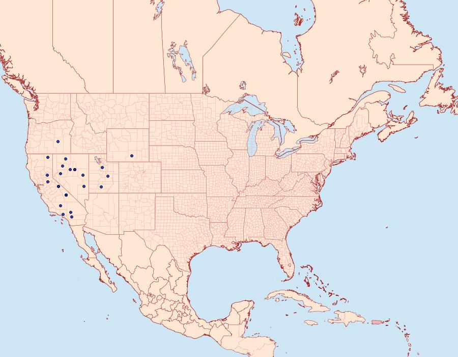 Distribution Data for Loxostege indentalis