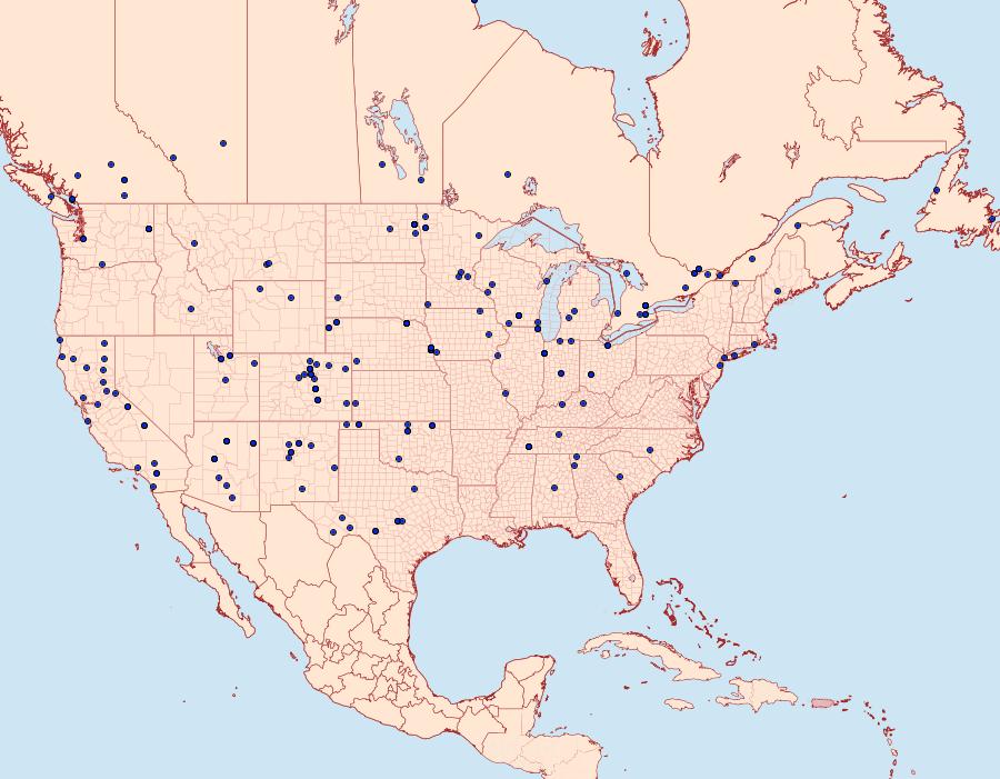 Distribution Data for Loxostege cereralis