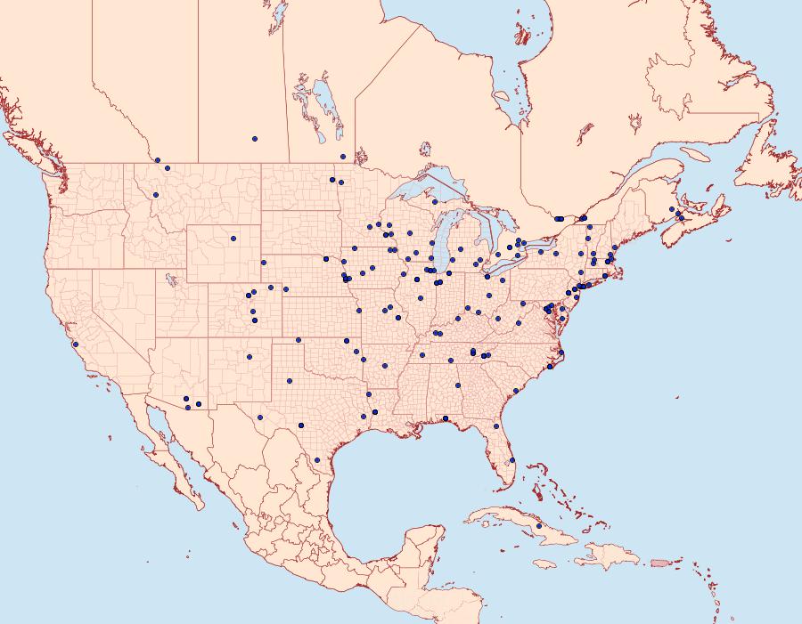 Distribution Data for Pyrausta signatalis