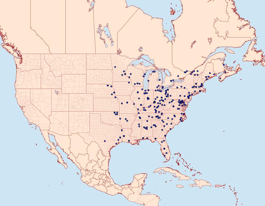 Distribution Data for Pyrausta bicoloralis