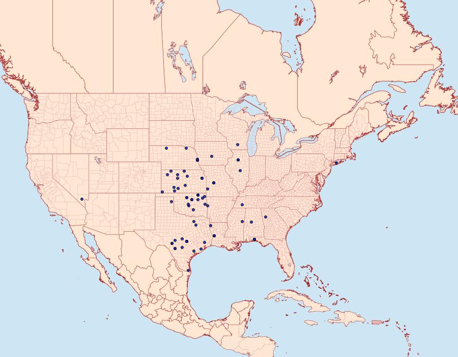 Distribution Data for Pyrausta onythesalis