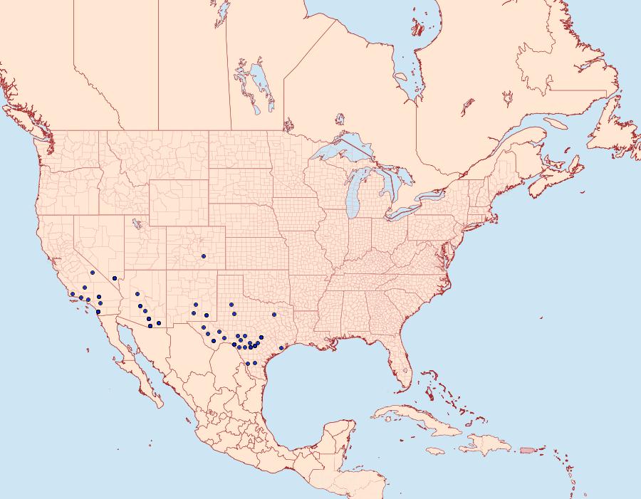 Distribution Data for Pyrausta pseudonythesalis