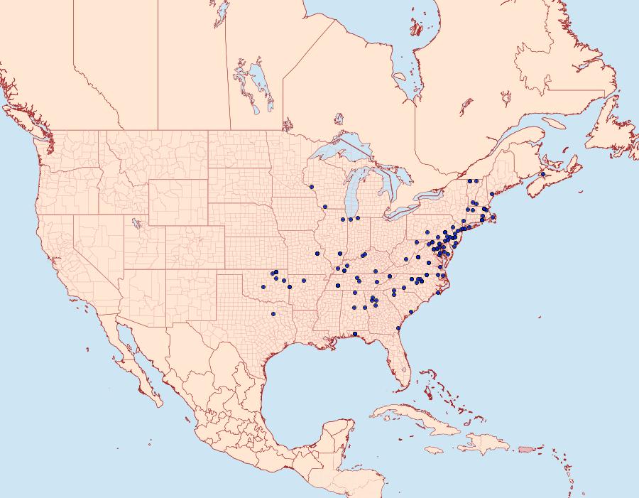 Distribution Data for Pyrausta rubricalis