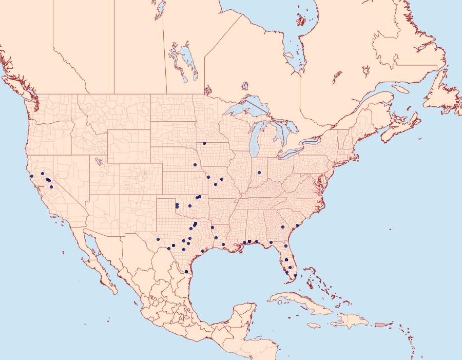 Distribution Data for Pyrausta pseuderosnealis