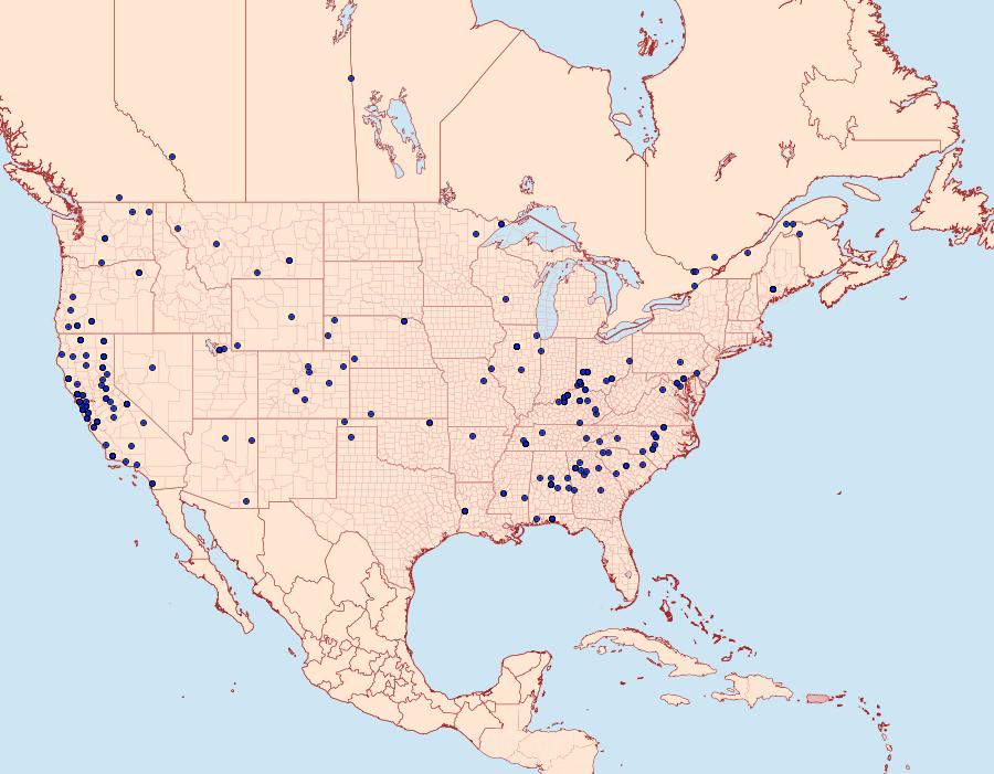 Distribution Data for Pyrausta subsequalis