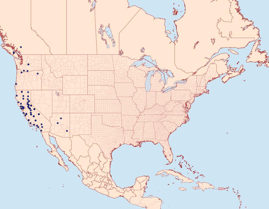 Distribution Data for Pyrausta semirubralis