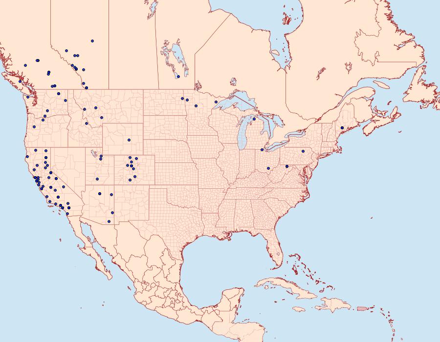 Distribution Data for Pyrausta unifascialis