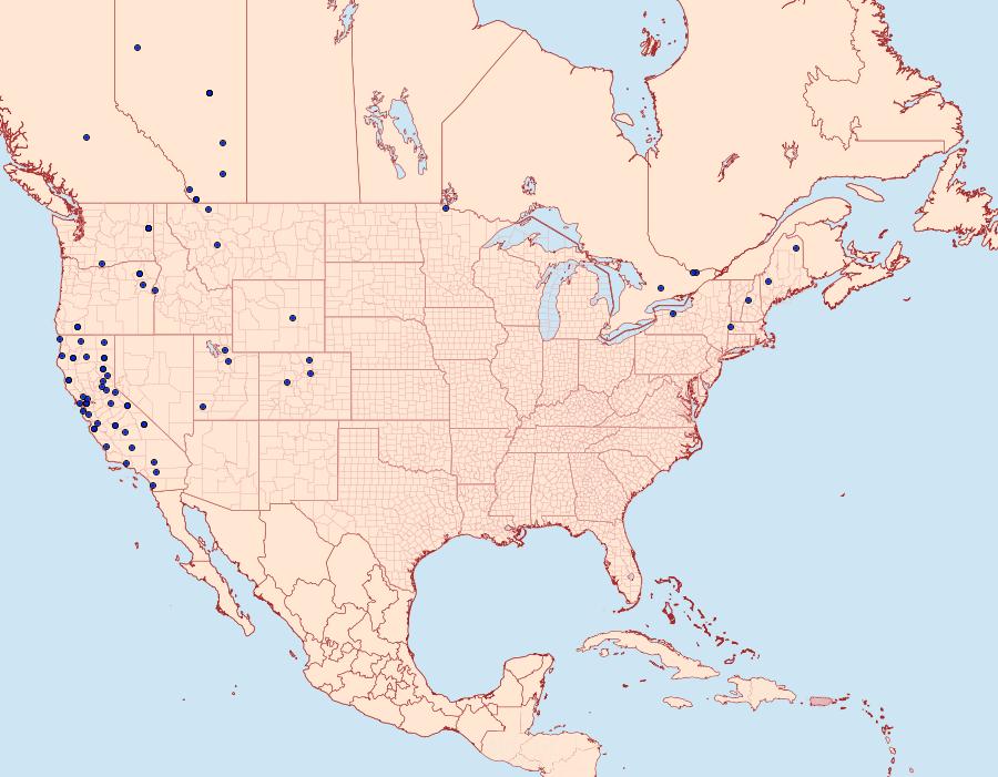 Distribution Data for Pyrausta fodinalis