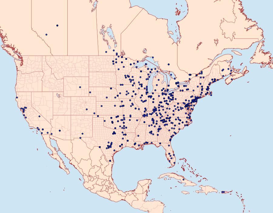 Distribution Data for Udea rubigalis