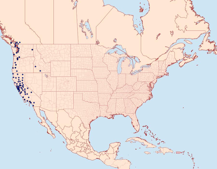 Distribution Data for Udea profundalis