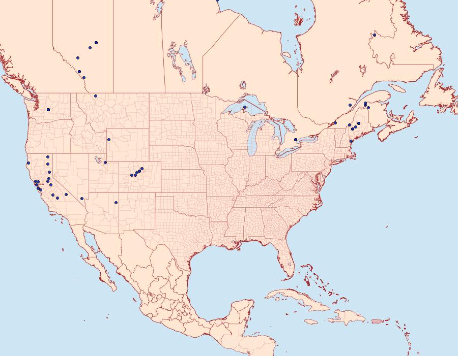 Distribution Data for Udea itysalis