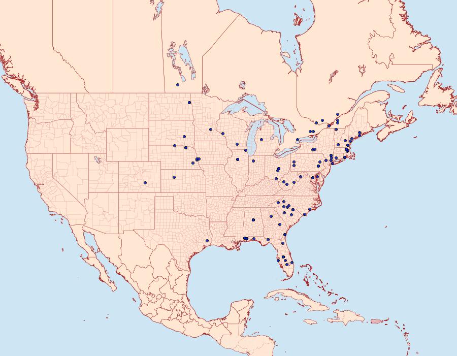 Distribution Data for Loxostegopsis merrickalis