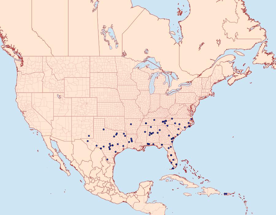 Distribution Data for Diacme elealis