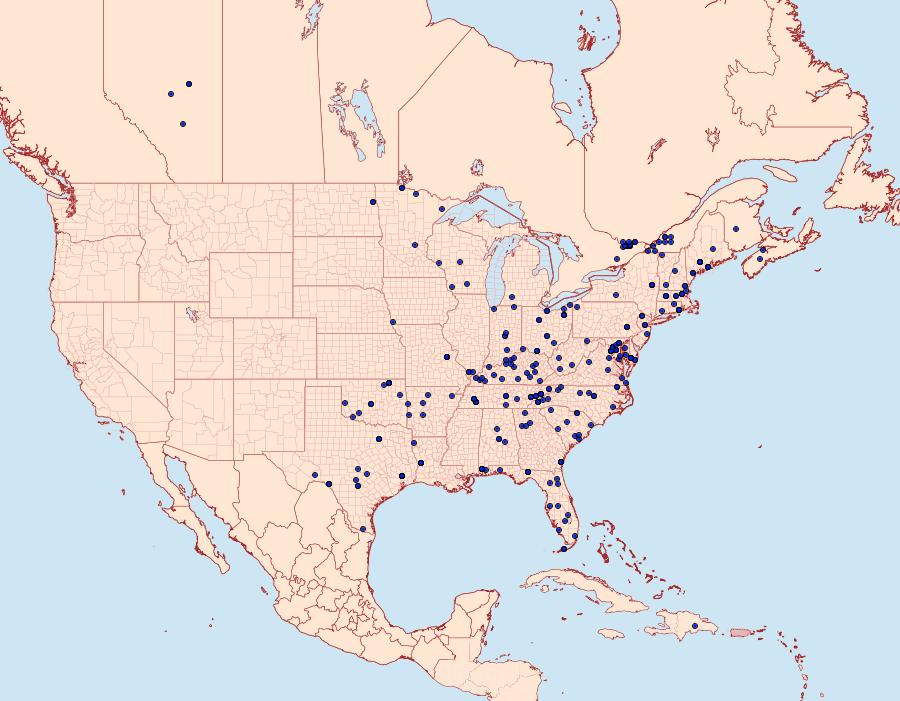 Distribution Data for Diacme adipaloides