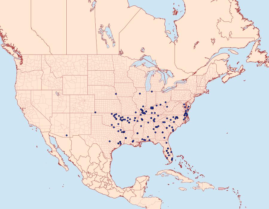 Distribution Data for Epipagis fenestralis