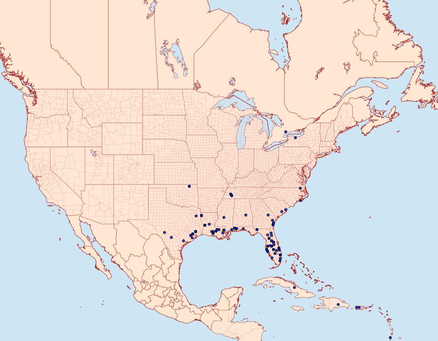 Distribution Data for Samea multiplicalis