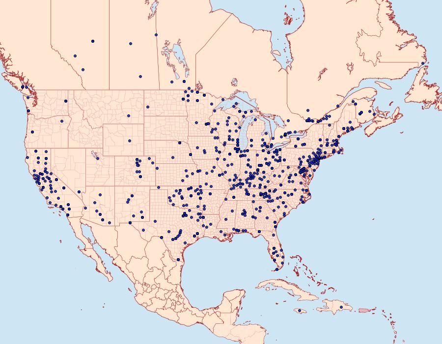 Distribution Data for Nomophila nearctica