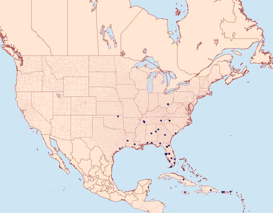 Distribution Data for Rhectocraspeda periusalis