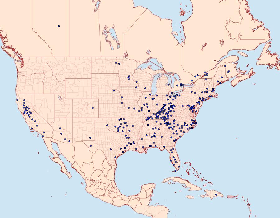 Distribution Data for Desmia funeralis