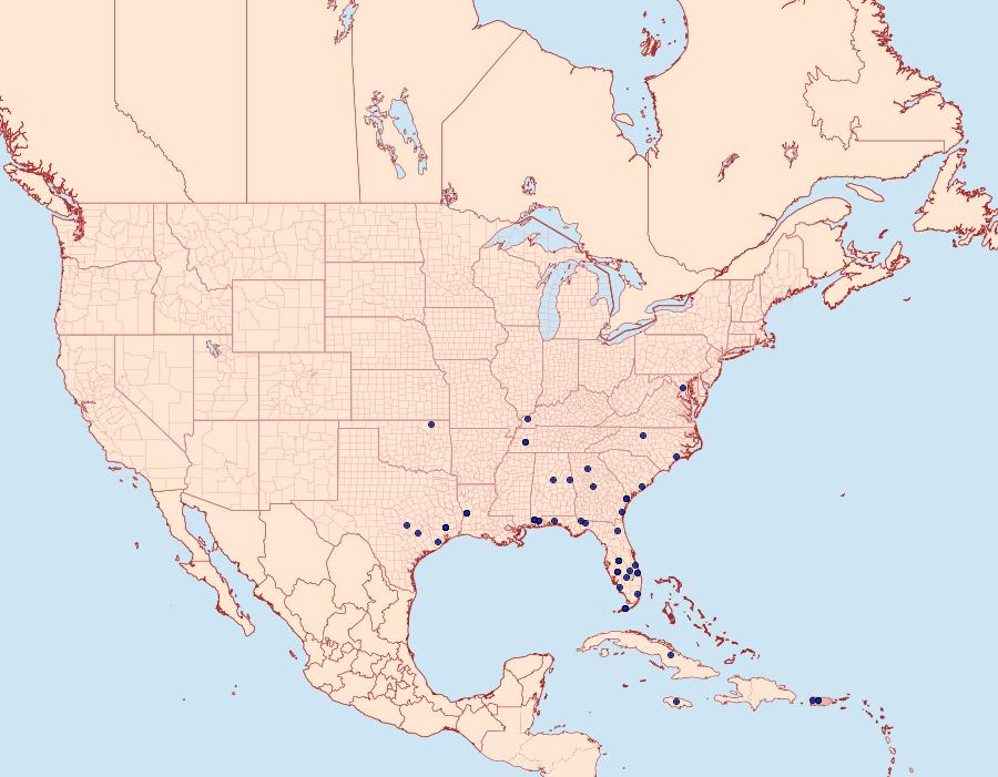 Distribution Data for Diasemiopsis leodocusalis