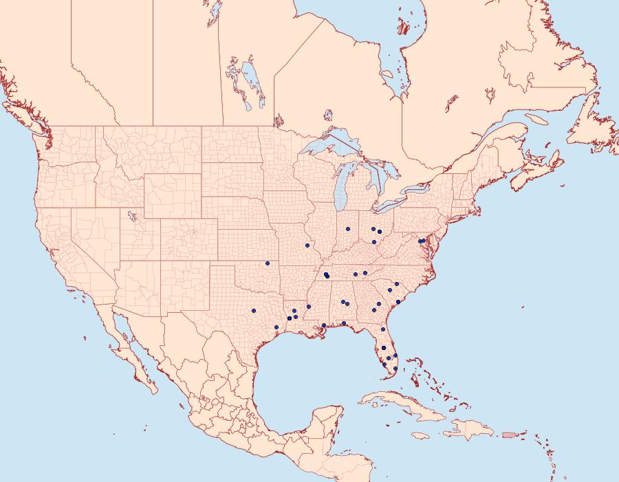 Distribution Data for Diasemiodes nigralis