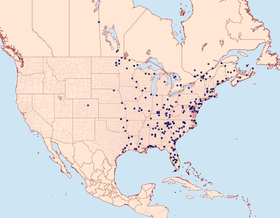 Distribution Data for Anageshna primordialis