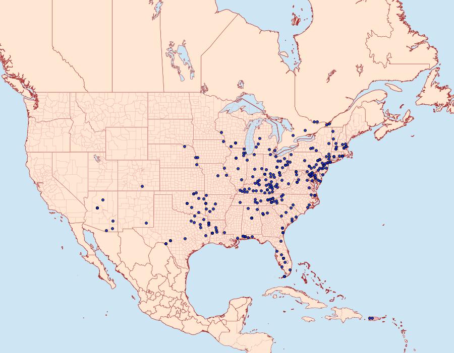 Distribution Data for Blepharomastix ranalis